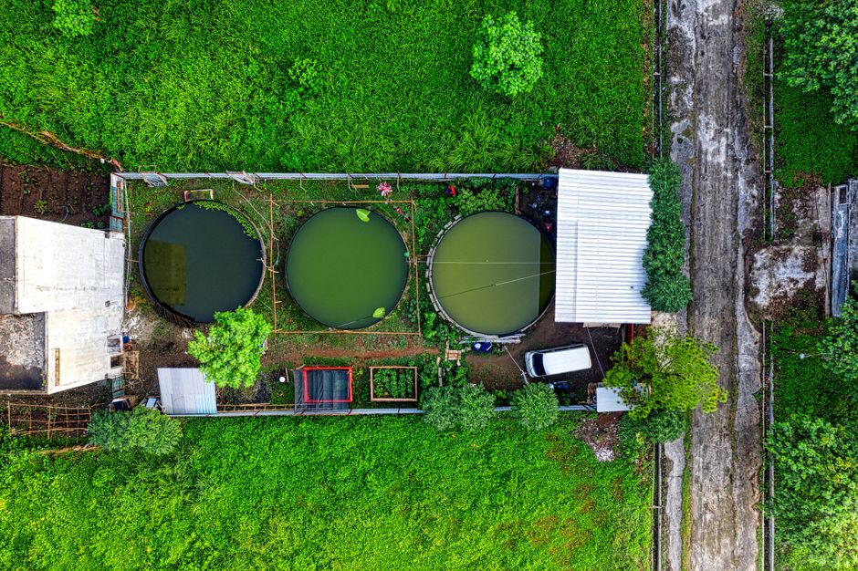 Wassertest-Kit für Aquaponik mit pH-Wert, Nitrat und Ammoniak Messung